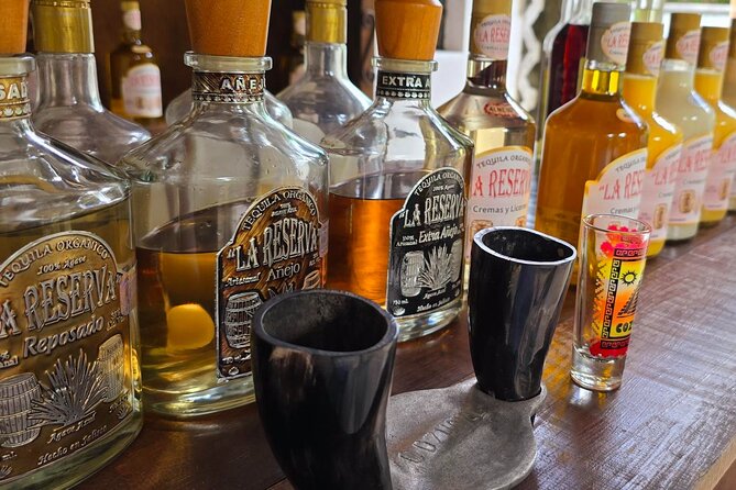 Tastes of Mexico Traditional Food Culture and Beach in Cozumel - Organic chocolate, honey, and artisan tequila tastings