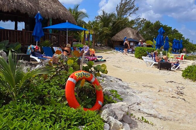 Tastes of Mexico Traditional Food Culture and Beach in Cozumel - Sky Reef Beach Club: learn your taco build and chiltomate sauce