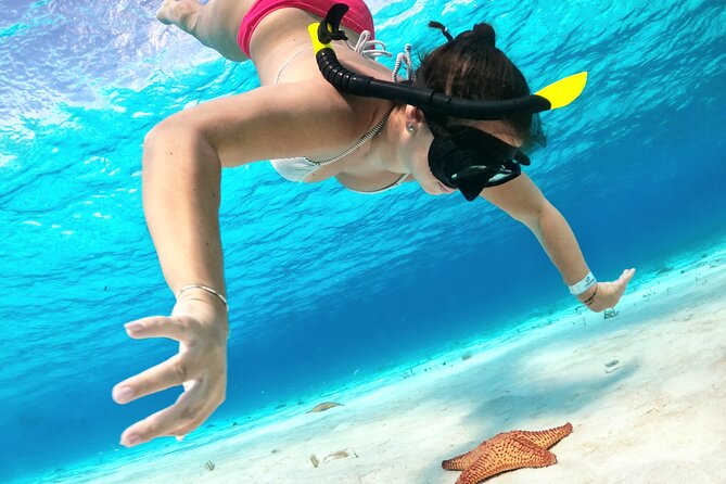 The Cozumel Turtle Sanctuary Snorkel Tour - Downtown meeting points, and how to avoid the first-day stress