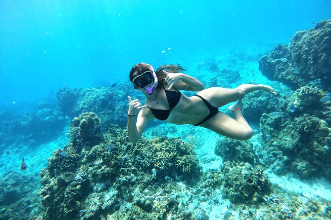 The Cozumel Turtle Sanctuary Snorkel Tour - El Cielo starfish sanctuary: the signature shallow-sand moment