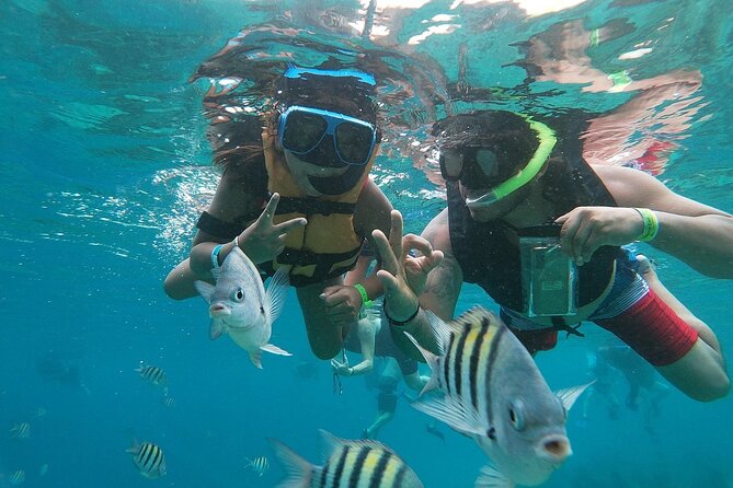 The Perfect Day in Chankanaab Park Cozumel - Chankanaab Reef: Why the Protected Area Helps You Enjoy the Water