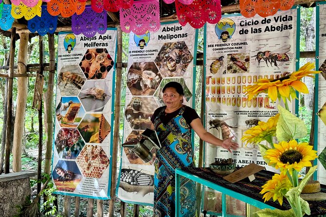 Tierra Maya – Sanctuary of Living Mayan Traditions - A Half-Day Cozumel Land and Sea Plan That Feels Local