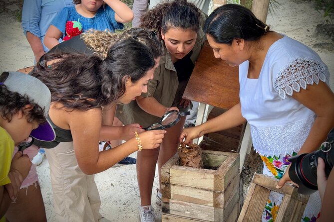 Tierra Maya – Sanctuary of Living Mayan Traditions - Price and Group Size: Why This Feels More Like a Day Tour Than a Production