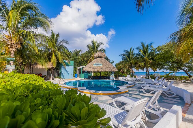 Tikinxic Barefoot Fish Guided Cookout Experience in Cozumel - Who Should Book This Cooking Cookout, and Who Might Not