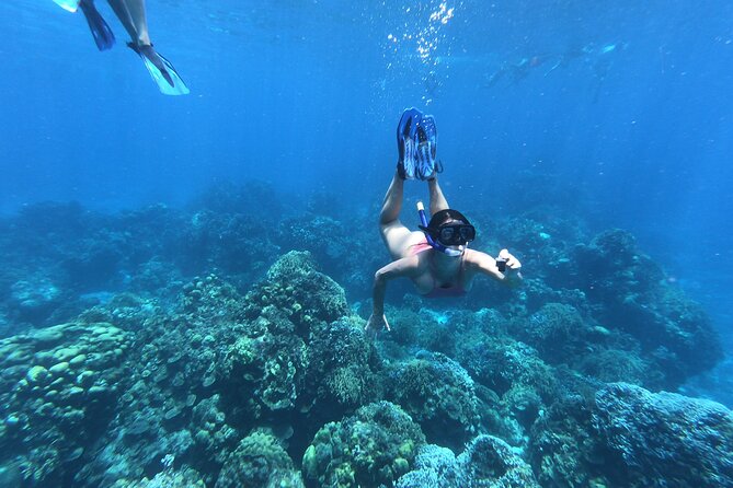 Tour Cozumel Island + Snorkel + Beach + Buggy + Lunch - First stop: The smooth meeting at Muelle Cozumel