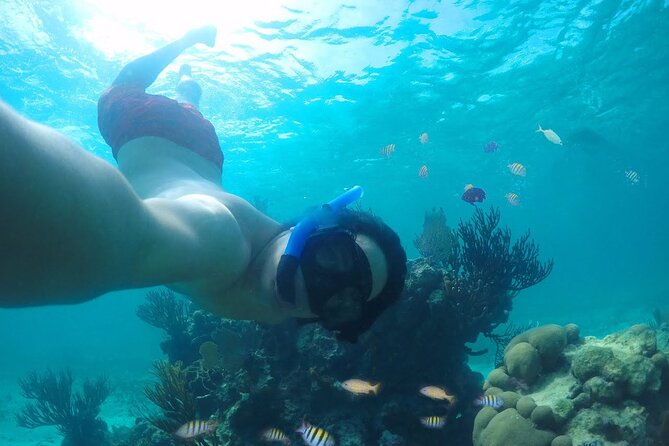 Tour Cozumel Island + Snorkel + Beach + Buggy + Lunch - Chankanaab Park: nature time before the reef