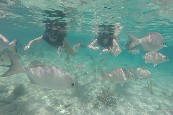 Tour in Buggy Cedral History Snorkeling and Lunch in Cozumel - Who this tour fits best (and who should choose something else)