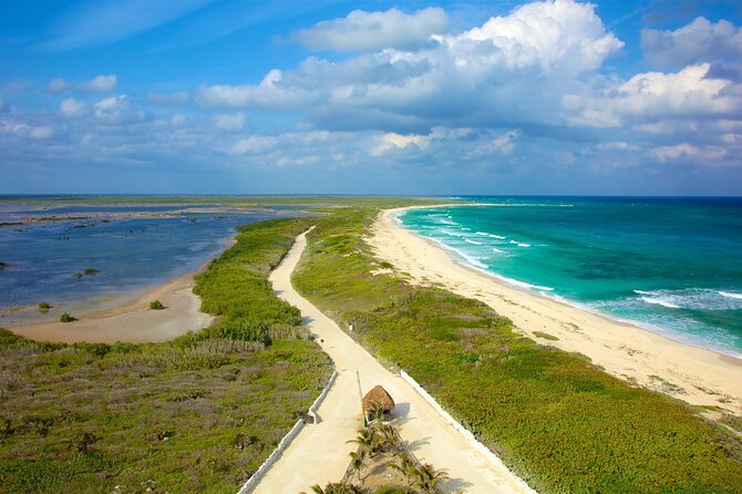 Tours along the beaches of Cozumel Mexico by buggy all inclusive - Key highlights to know before you go