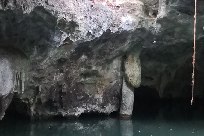 Tours On The Island Cozumel - Private Transportation and How the Ride Fits the Day