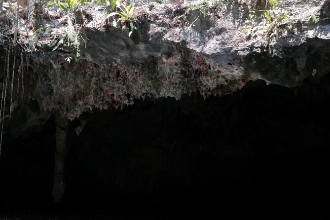 Tours On The Island Cozumel - Family-Friendly Photos, Multi-Generation Fun, and the “Photo Stops” Factor