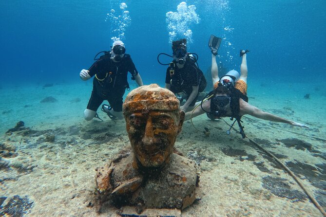 Try diving without previous experience from shore - Shore Entry in Cozumel, Built for First-Timers