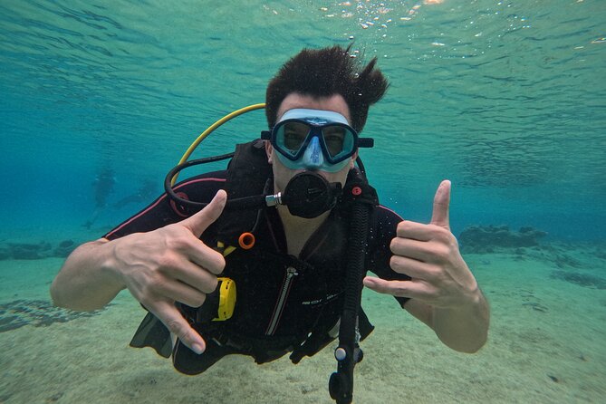 Try diving without previous experience from shore - The Class, the Skills, and Why This Works for Beginners