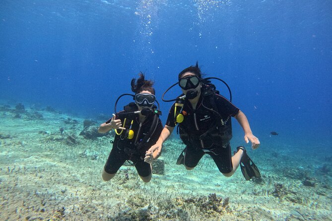 Try diving without previous experience from shore - Coral Reconstruction and the Fish You’ll Actually Want to Point At