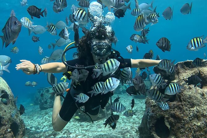 Try diving without previous experience from shore - What You’ll See Underwater: Expect Color, Clarity, and Close Encounters