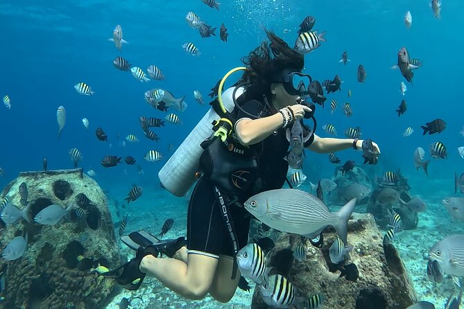 Try diving without previous experience from shore - Jacques Cousteau Underwater Museum: A Story You Can Swim Through