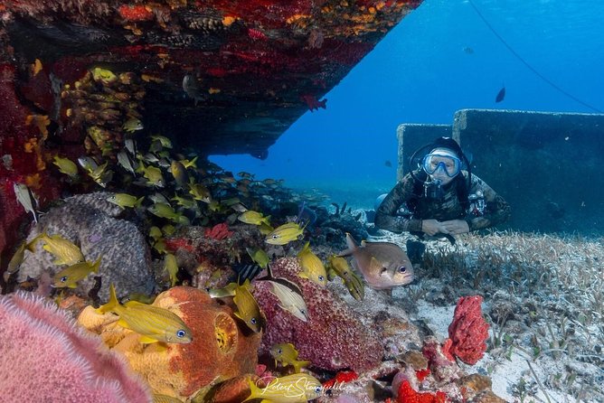 Try Scuba Diving - No previous experience! - Key Points That Matter (Especially for First-Time Scuba)