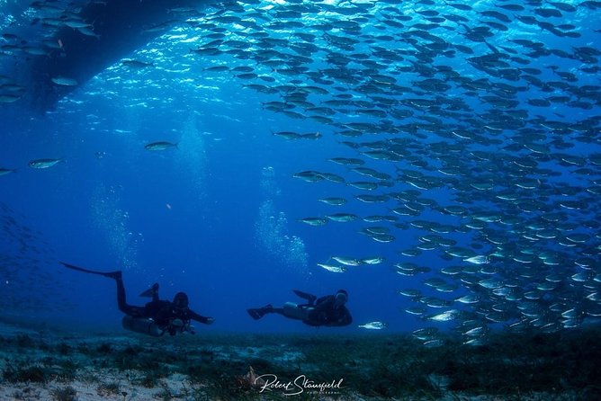 Try Scuba Diving - No previous experience! - Salty Endeavors and the Jose Factor: Why the Small Group Feels Personal